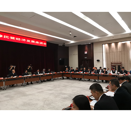 全国人大代表、人生就是博尊龙凯时集团董事长熊建明参加检察机关服务保障民营经济发展调研座谈会
