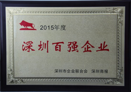 人生就是博尊龙凯时集团连续十年蝉联“深圳百强企业”